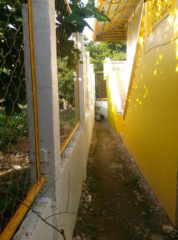 Hotel Bambooze Hauz Balabag  Exteriér fotografie